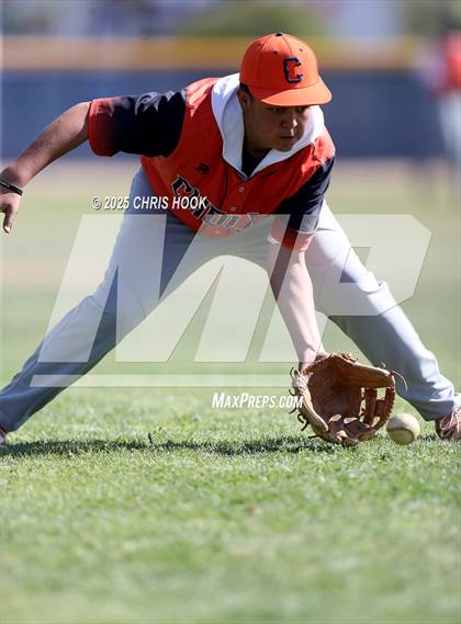 Thumbnail 3 in Cholla @ Sahuarita photogallery.