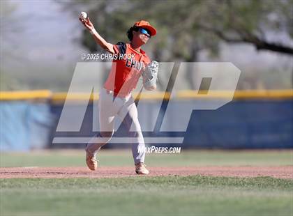 Thumbnail 2 in Cholla @ Sahuarita photogallery.