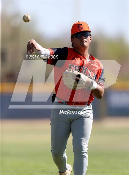 Thumbnail 1 in Cholla @ Sahuarita photogallery.