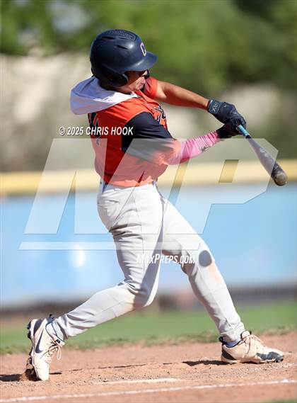 Thumbnail 3 in Cholla @ Sahuarita photogallery.