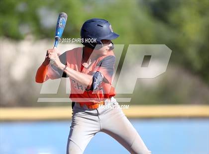 Thumbnail 1 in Cholla @ Sahuarita photogallery.