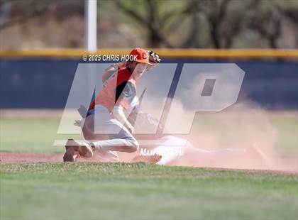 Thumbnail 3 in Cholla @ Sahuarita photogallery.