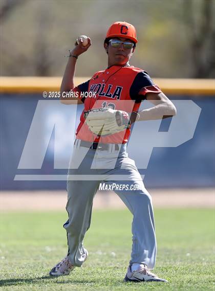Thumbnail 3 in Cholla @ Sahuarita photogallery.