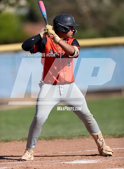 Thumbnail 2 in Cholla @ Sahuarita photogallery.