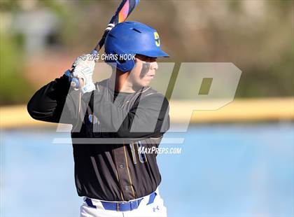 Thumbnail 1 in Cholla @ Sahuarita photogallery.
