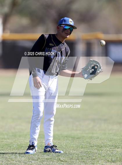 Thumbnail 2 in Cholla @ Sahuarita photogallery.