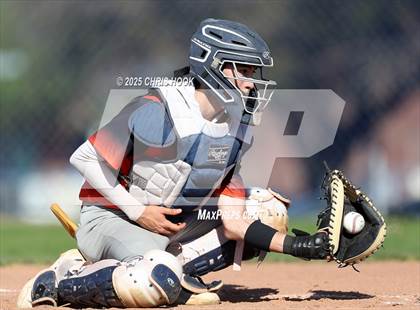 Thumbnail 2 in Cholla @ Sahuarita photogallery.