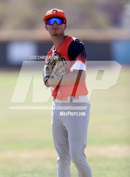 Thumbnail 3 in Cholla @ Sahuarita photogallery.