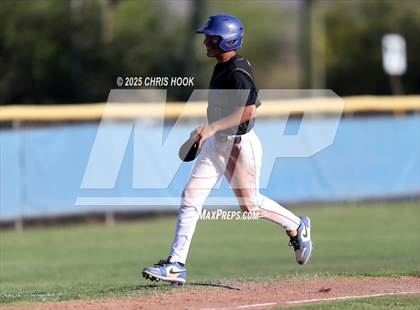 Thumbnail 1 in Cholla @ Sahuarita photogallery.