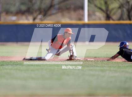 Thumbnail 3 in Cholla @ Sahuarita photogallery.