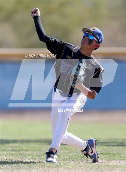 Thumbnail 2 in Cholla @ Sahuarita photogallery.