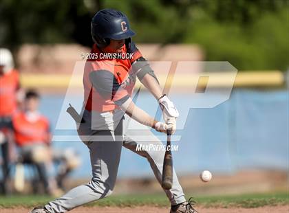 Thumbnail 3 in Cholla @ Sahuarita photogallery.