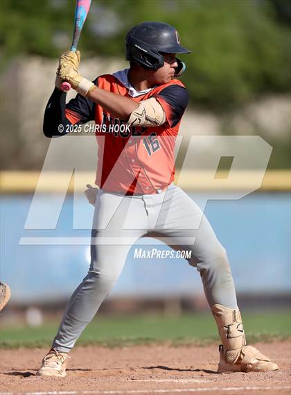 Thumbnail 2 in Cholla @ Sahuarita photogallery.