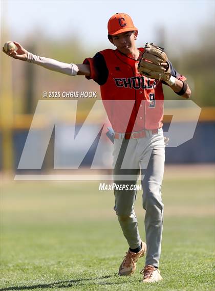 Thumbnail 1 in Cholla @ Sahuarita photogallery.