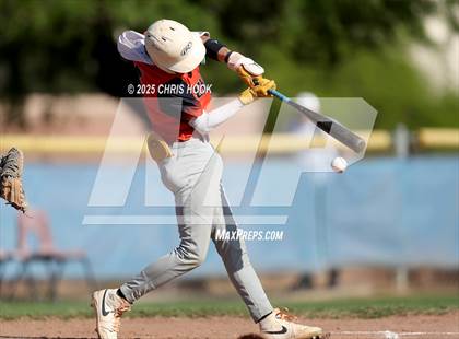 Thumbnail 3 in Cholla @ Sahuarita photogallery.