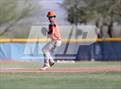 Photo from the gallery "Cholla @ Sahuarita"