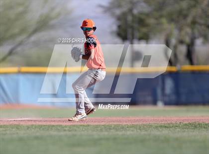 Thumbnail 1 in Cholla @ Sahuarita photogallery.