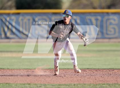 Thumbnail 3 in Cholla @ Sahuarita photogallery.