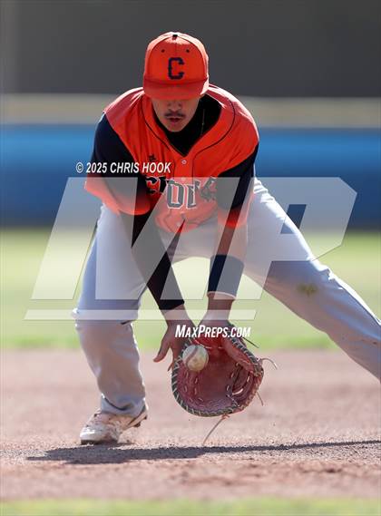 Thumbnail 2 in Cholla @ Sahuarita photogallery.