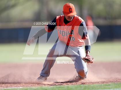 Thumbnail 3 in Cholla @ Sahuarita photogallery.