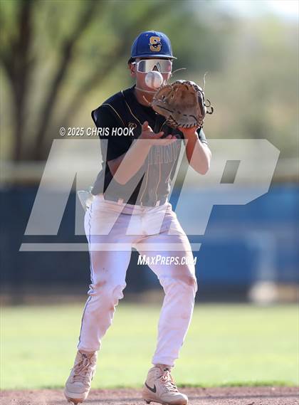 Thumbnail 3 in Cholla @ Sahuarita photogallery.