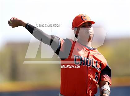 Thumbnail 1 in Cholla @ Sahuarita photogallery.