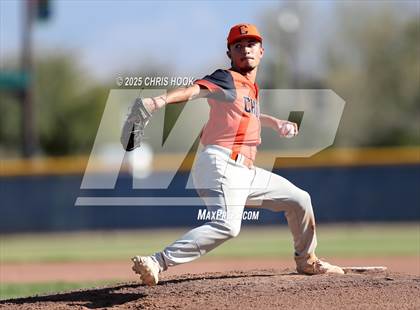 Thumbnail 3 in Cholla @ Sahuarita photogallery.