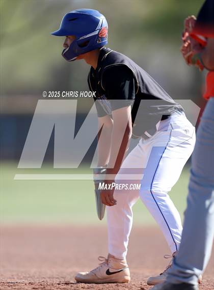Thumbnail 3 in Cholla @ Sahuarita photogallery.