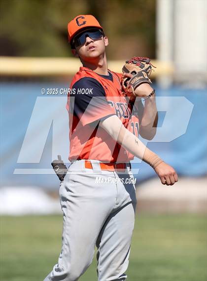 Thumbnail 1 in Cholla @ Sahuarita photogallery.