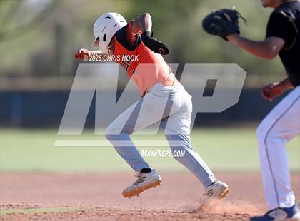 Thumbnail 1 in Cholla @ Sahuarita photogallery.