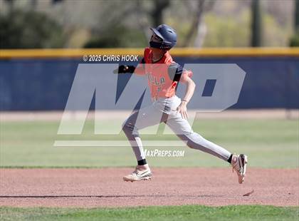 Thumbnail 3 in Cholla @ Sahuarita photogallery.
