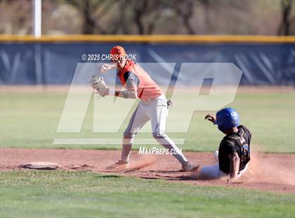 Thumbnail 3 in Cholla @ Sahuarita photogallery.