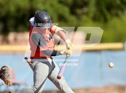 Thumbnail 1 in Cholla @ Sahuarita photogallery.