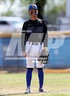 Photo from the gallery "Cholla @ Sahuarita"