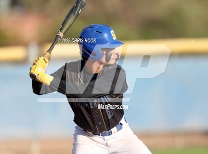 Thumbnail 2 in Cholla @ Sahuarita photogallery.