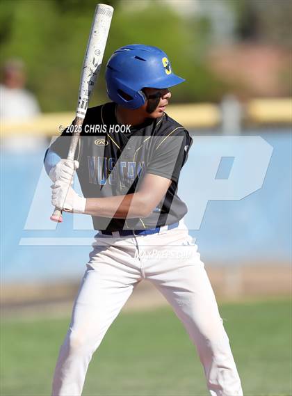 Thumbnail 1 in Cholla @ Sahuarita photogallery.