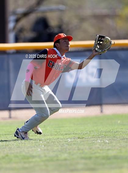 Thumbnail 3 in Cholla @ Sahuarita photogallery.