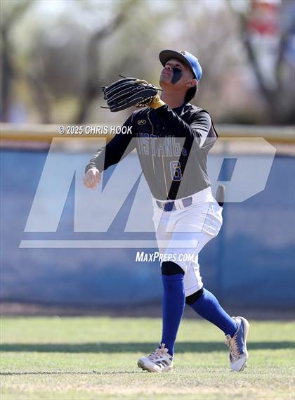 Thumbnail 1 in Cholla @ Sahuarita photogallery.