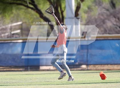 Thumbnail 3 in Cholla @ Sahuarita photogallery.