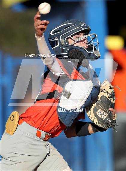 Thumbnail 2 in Cholla @ Sahuarita photogallery.