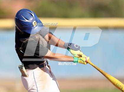 Thumbnail 3 in Cholla @ Sahuarita photogallery.