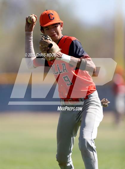 Thumbnail 1 in Cholla @ Sahuarita photogallery.