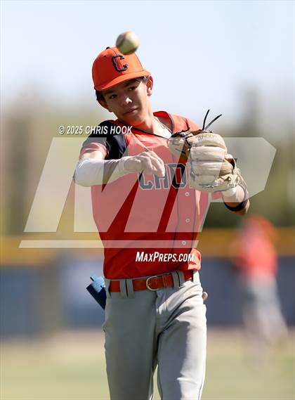 Thumbnail 3 in Cholla @ Sahuarita photogallery.