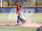 Photo from the gallery "Cholla @ Sahuarita"