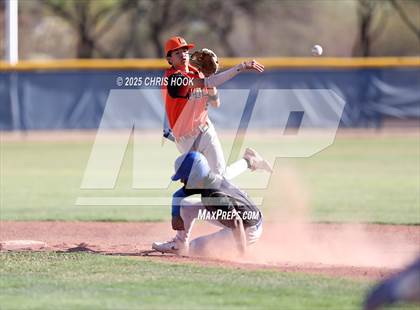 Thumbnail 2 in Cholla @ Sahuarita photogallery.