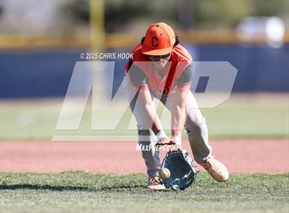 Thumbnail 1 in Cholla @ Sahuarita photogallery.