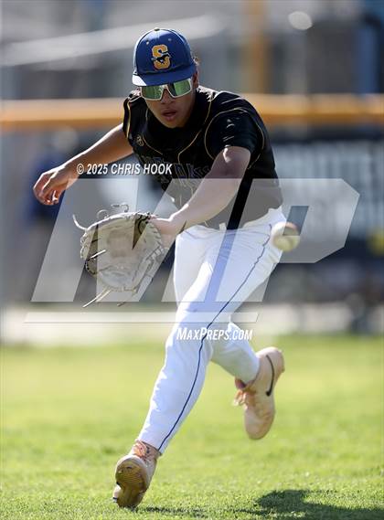 Thumbnail 1 in Cholla @ Sahuarita photogallery.