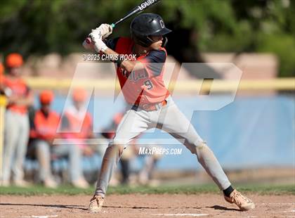 Thumbnail 2 in Cholla @ Sahuarita photogallery.