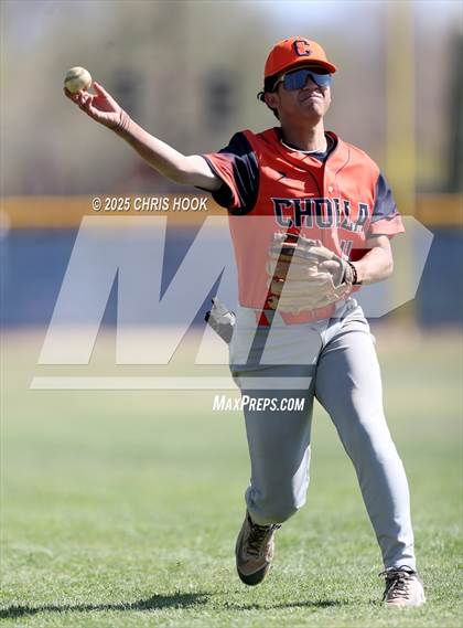 Thumbnail 3 in Cholla @ Sahuarita photogallery.