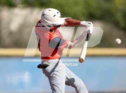 Thumbnail 3 in Cholla @ Sahuarita photogallery.